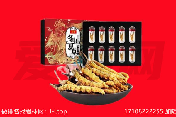 阳江市阳西回收虫草.jpg